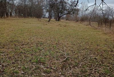 Casa 100 mp la Rapa de Jos, Jud. Mures - 9