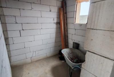 Casa Malu Mare - Capsunarie - Damila - 8