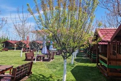 Hotel/Pensiune, de 410 mp, în Limanu - 5