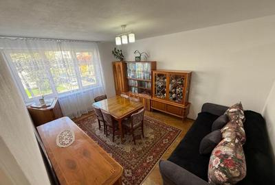 Apartament cu 2 camere decomandat, mobilat în Terezian - 2