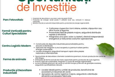 Teren  intravilan Industrial  12 Hectare - 3