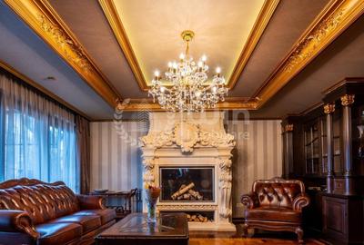 Casă individuală cu 10 camere cu Canalizare în Andrei Mureșanu - 24