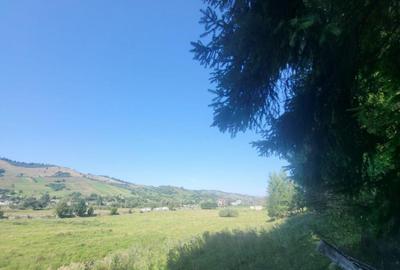 Teren, Ideal pentru Investitie Sau Dezvoltare - 11