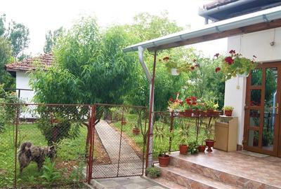 Casa deosebita si teren in Brad, Hunedoara - 1