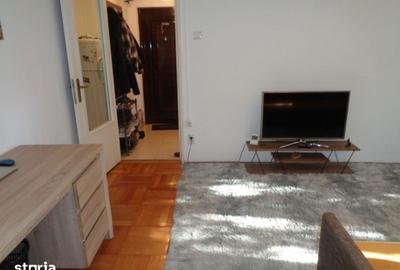 Apartament cu 2 camere în Șega - 12