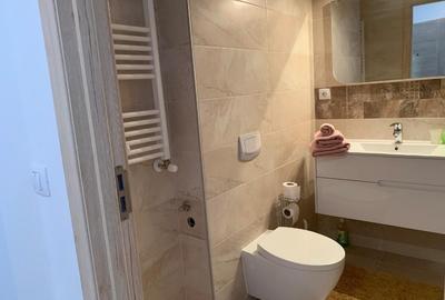 Apartament cu 2 camere, mobilat în Nord - 10