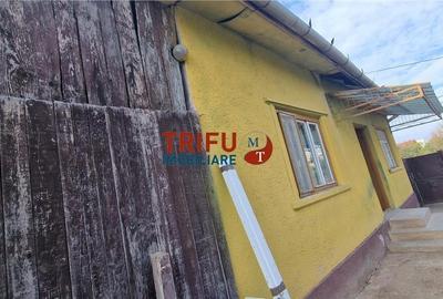 Casă de vânzare zona Cetate Schit 740 mp teren - 1