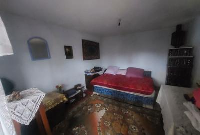 Casă cu 3 camere în Timișeni - 1