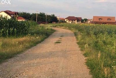 Teren in Ciofliceni, comuna Snagov, pe strada Stefanita Voda. Pret negociabil. - 6