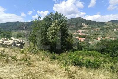 Cabana la rosu 150 mp cu teren de 3500 mp in Ampoita - 5