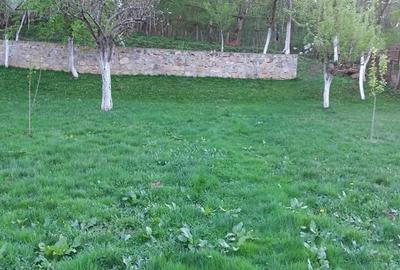 Casă cu 4 camere în Gârliște - 5