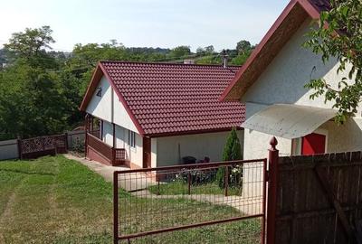 Casă cu 4 camere cu Teren 3000 Mp în Popești - 3
