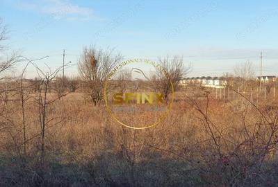 TEREN INTRAVILAN BRAGADIRU 5000mp| SOSEAUA ALEXANDRIEI | DESCHIDERE LA 2 STRAZI - 14