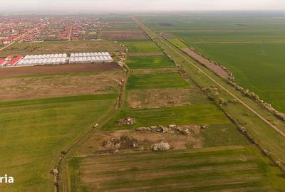 Teren de 6150 mp, în Livada - 4