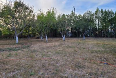 De vanzare teren intravilan 1000 mp. Corbeanca De vanzare teren intravilan 1000 mp. Corbeanca - 5