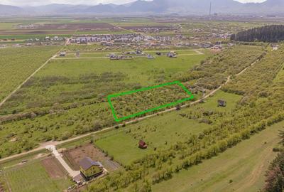Teren Construcții intravilan de 2717 mp, în Sânpetru