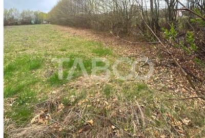 Teren Construcții intravilan de 550 mp, în Cisnădie - 6