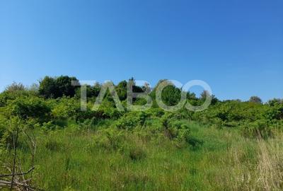 Teren de vanzare 4500 mp in centrul comunei Hamba judetul Sibiu - 3