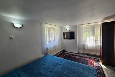 Vila Exclusivista Vetel  pe valea Caoiului-OFERTA SPECIALA DE SARBATORI! - 13