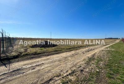 Teren de 680 mp, în Peștișu Mare