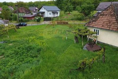 Casă cu 3 camere cu Teren 3760 Mp în Arieșu de Pădure - 3