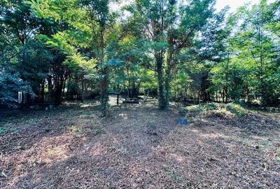 Teren intravilan 1500mp in Livedea, Ialomita - 12