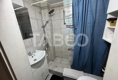 Casa centrala de vanzare in Gura Raului 560 mp curte+gradina - 6