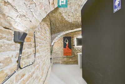 Eleganță subterană - pivniță exclusivistă Arad - 66