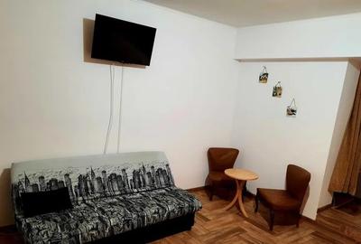 Apartament cu 1 camera, PET FRIENDLY, zona Alexandru Cel Bun - 3