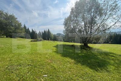 Teren de 20000 mp, în Central - 10