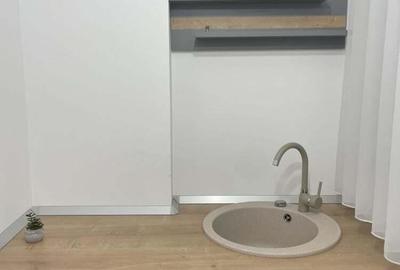 Calea Mosilor apartament cu 3 camere de inchiriat - 6