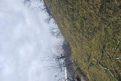 Vand casa si teren - 6