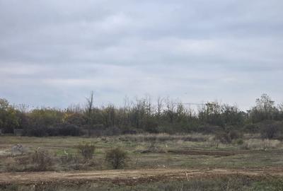 VANZARE TEREN THEODOR PALLADY - Drumul Lunca Corbului - 5