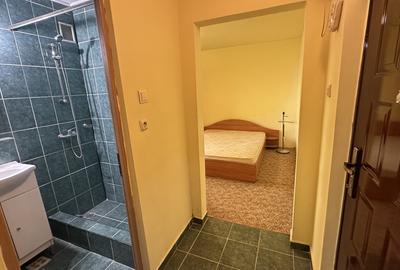 Garsonieră semidecomandată, mobilată în Vasile Aaron - 8