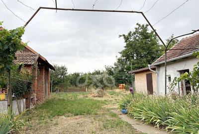 Casa la 22 km de Oradea, Santaul Mare, Bihor - 3