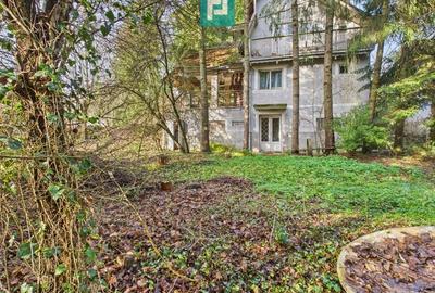 Casă P+E+M cu teren 8163 mp – Roșia Nouă (Petriș) - 3