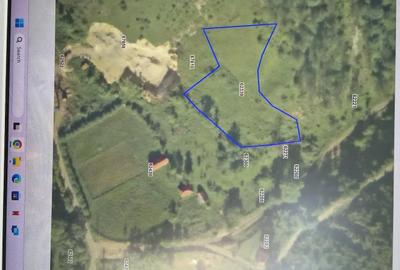 Teren de 16286 mp, în Runcu Mare - 5