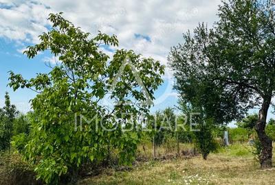 Teren în Central - 6