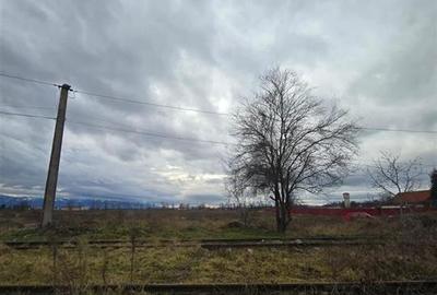 Terenuri de vanzare in Fagaras - 2