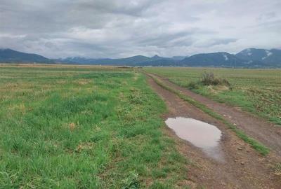 33.100mp, Tarlungeni, Brasov - 2