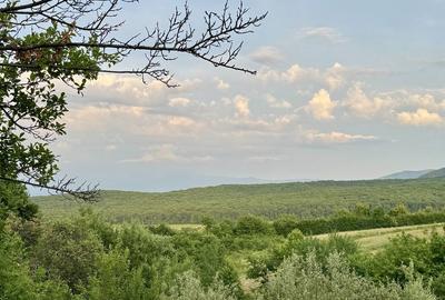 Spațiu comercial, în Central - 2