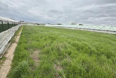 Spațiu comercial, în Dobreni - 2