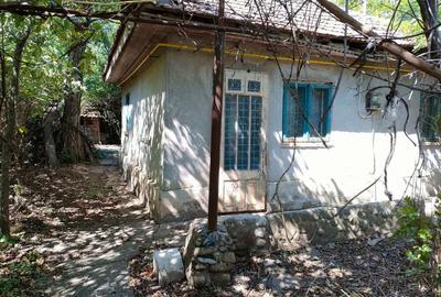 Casa de vanzare si 7600 mp teren intravilan Dor Marunt, Calarasi - 1