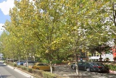 Spațiu comercial, de 312 mp, în Dristor - 7