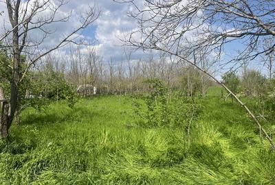 Casă cu 3 camere decomandat în Grădiștea - 8