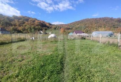 Casa cu 3 camere, 90 mp, zona Beclenut - 12