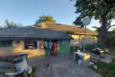 Casă cu Teren 3447 Mp în Satu Nou - 5