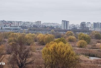 Garsonieră decomandată în Vitan - 11
