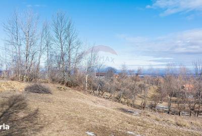 Spațiu comercial, în Sohodol - 7