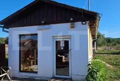 Casă cu 2 camere în Criș - 10